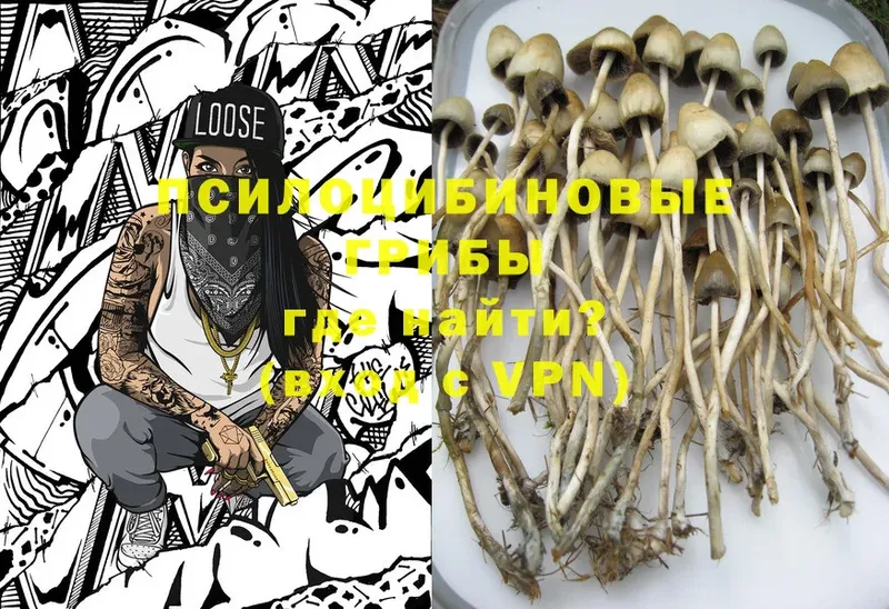 МЕГА сайт  Белая Калитва  Псилоцибиновые грибы Magic Shrooms 